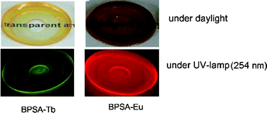 Graphical abstract: Highly transparent and luminescent lanthanide ion-containing bridged polysilsesquioxanes