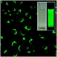 Graphical abstract: Strongly green-photoluminescent graphene quantum dots for bioimaging applications