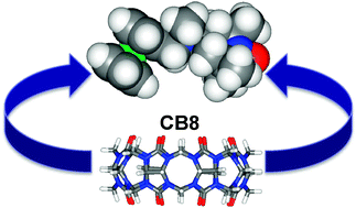 Graphical abstract: The importance of methylation in the binding of (ferrocenylmethyl)tempammonium guests by cucurbit[n]uril (n = 7, 8) hosts