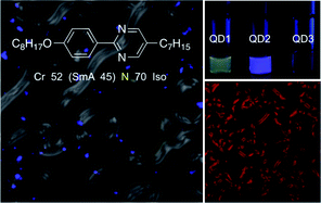Graphical abstract: Nanocomposites of a nematic liquid crystal doped with magic-sized CdSe quantum dots