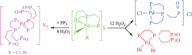 Graphical abstract: Transition of trigonal-bipyramidal to square-planar geometries by oxidation of a coordinated tripodal polyphosphine in Pd(ii) and Pt(ii) complexes