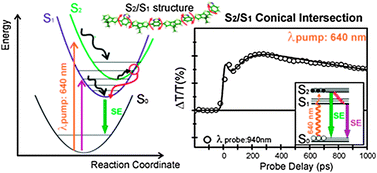 Graphical abstract: Ultrafast internal conversion in a low band gap polymer for photovoltaics: experimental and theoretical study