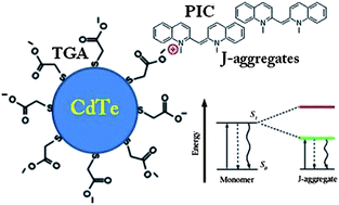 Graphical abstract: Hybrid organic/inorganic semiconductor nanostructures with highly efficient energy transfer