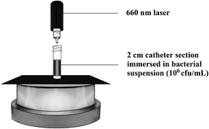 Graphical abstract: Incorporation of methylene blue and nanogold into polyvinyl chloride catheters; a new approach for light-activated disinfection of surfaces