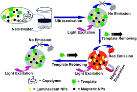 Graphical abstract: Magnetic-luminescent bifunctional nanosensors