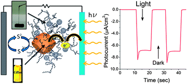 Graphical abstract: CdSe Nanocrystal/C60-liquid composite material with enhanced photoelectrochemical performance