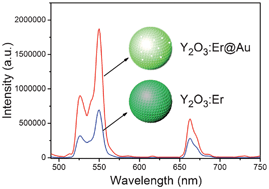 Graphical abstract: Facile synthesis of upconversion luminescent mesoporous Y2O3:Er microspheres and metal enhancement using gold nanoparticles
