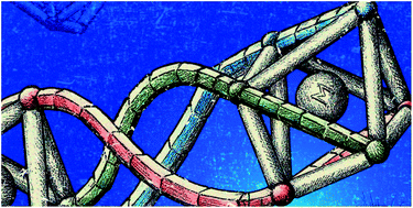 Graphical abstract: Metallohelices with activity against cisplatin-resistant cancer cells; does the mechanism involve DNA binding?