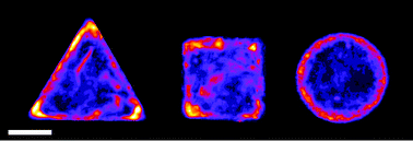 Graphical abstract: High resolution Raman spectroscopy mapping of stem cell micropatterns