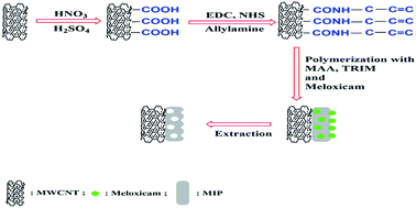 Graphical abstract: Determination of meloxicam in plasma samples using a highly selective and sensitive voltammetric sensor based on carbon paste electrodes modified by molecularly imprinted polymer nanoparticle–multiwall carbon nanotubes