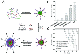 Graphical abstract: Drug and gene co-delivery systems for cancer treatment