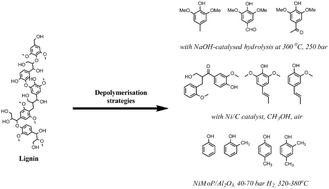 Graphical abstract: Lignin depolymerisation strategies: towards valuable chemicals and fuels