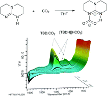 Graphical abstract: Observation of guanidine–carbon dioxide complexation in solution and its role in the reaction of carbon dioxide and propargylamines