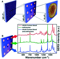 Graphical abstract: Direct laser writing of μ-chips based on hybrid C–Au–Ag nanoparticles for express analysis of hazardous and biological substances