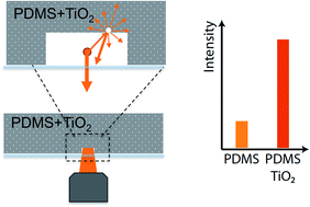 Graphical abstract: A simple low-cost method to enhance luminescence and fluorescence signals in PDMS-based microfluidic devices