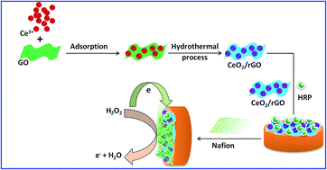 Graphical abstract: An enzymatic biosensor for hydrogen peroxide based on one-pot preparation of CeO2-reduced graphene oxide nanocomposite
