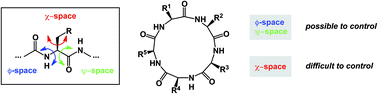 Graphical abstract: Macrocycles: lessons from the distant past, recent developments, and future directions