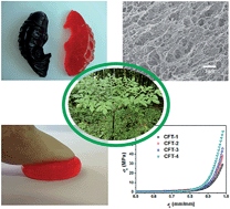 Graphical abstract: A novel biocompatible double network hydrogel consisting of konjac glucomannan with high mechanical strength and ability to be freely shaped