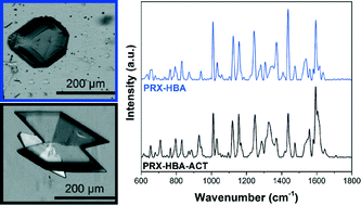 Graphical abstract: Crystallization and characterization of cocrystals of piroxicam and 2,5-dihydroxybenzoic acid