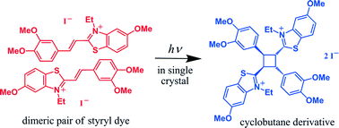 Graphical abstract: Features of styryl dye crystal packings and their influence on [2 + 2] photocycloaddition reaction with single crystal retention