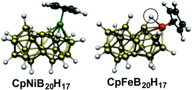 Graphical abstract: Biicosahedral metallaboranes: aromaticity in metal derivatives of three-dimensional analogues of naphthalene