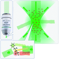 Graphical abstract: Developments in spontaneous and coherent Raman scattering microscopic imaging for biomedical applications