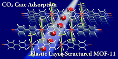 Graphical abstract: Understanding gate adsorption behaviour of CO2 on elastic layer-structured metal–organic framework-11