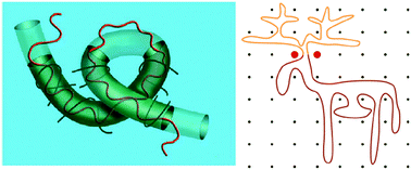 Graphical abstract: Celebrating Soft Matter's 10th Anniversary: Topology matters: structure and dynamics of ring polymers