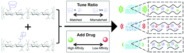 Graphical abstract: Sustained small molecule delivery from injectable hyaluronic acid hydrogels through host–guest mediated retention