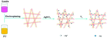 Graphical abstract: Electrospun polyurethane/keratin/AgNP biocomposite mats for biocompatible and antibacterial wound dressings