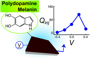 Graphical abstract: In vitro electrochemical characterization of polydopamine melanin as a tissue stimulating electrode material