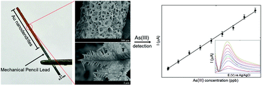 Graphical abstract: A mechanical pencil lead-supported carbon nanotube/Au nanodendrite structure as an electrochemical sensor for As(iii) detection