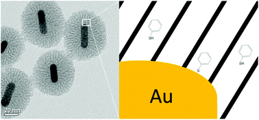 Graphical abstract: In solution SERS sensing using mesoporous silica-coated gold nanorods