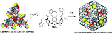 Graphical abstract: M12L8 metallo-supramolecular cube with cyclotriguaiacylene-type ligand: spontaneous resolution of cube and its constituent host ligand