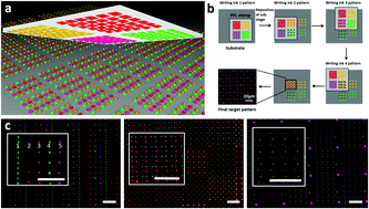 Graphical abstract: Multi-color polymer pen lithography for oligonucleotide arrays
