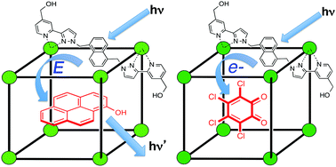 Graphical abstract: Photoinduced energy- and electron-transfer from a photoactive coordination cage to bound guests