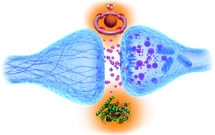 Graphical abstract: Strategies for sensing neurotransmitters with responsive MRI contrast agents