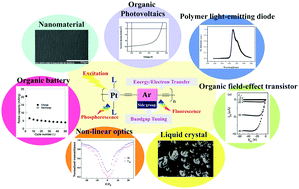 Graphical abstract: Multifunctional polymetallaynes: properties, functions and applications