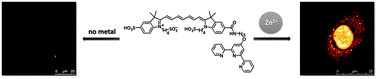 Graphical abstract: Zinc(ii)-induced control of the internalization of a near-infrared fluorescent probe by live cells