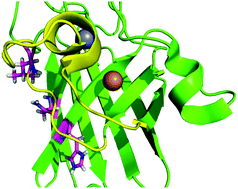 Graphical abstract: Destabilization of the metal site as a hub for the pathogenic mechanism of five ALS-linked mutants of copper, zinc superoxide dismutase