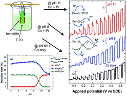 Graphical abstract: Understanding the role of phosphate in the photoelectrochemical performance of cobalt-phosphate/hematite electrode systems