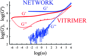 Graphical abstract: Curing and viscoelasticity of vitrimers