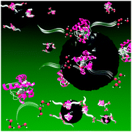 Graphical abstract: A switchable peroxidase mimic derived from the reversible co-assembly of cytochrome c and carbon dots