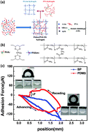 Graphical abstract: A robust double-network hydrogel with under sea water superoleophobicity fabricated via one-pot, one-step reaction