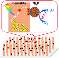 Graphical abstract: A Ni2P modified Ti4+ doped Fe2O3 photoanode for efficient solar water oxidation by promoting hole injection