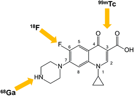 Graphical abstract: Fluoroquinolones as imaging agents for bacterial infection