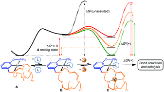 Graphical abstract: Controlling ligand binding for tunable and switchable catalysis: cation-modulated hemilability in pincer-crown ether ligands