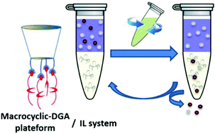 Graphical abstract: An ionic liquid-based extraction system using diglycolamide functionalized macrocyclic platforms for the extraction and recovery of lanthanides