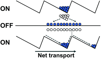 Graphical abstract: An introduction to ratchets in chemistry and biology