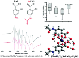 Graphical abstract: para-Aminosalicylic acid in the treatment of manganese toxicity. Complexation of Mn2+ with 4-amino-2-hydroxybenzoic acid and its N-acetylated metabolite